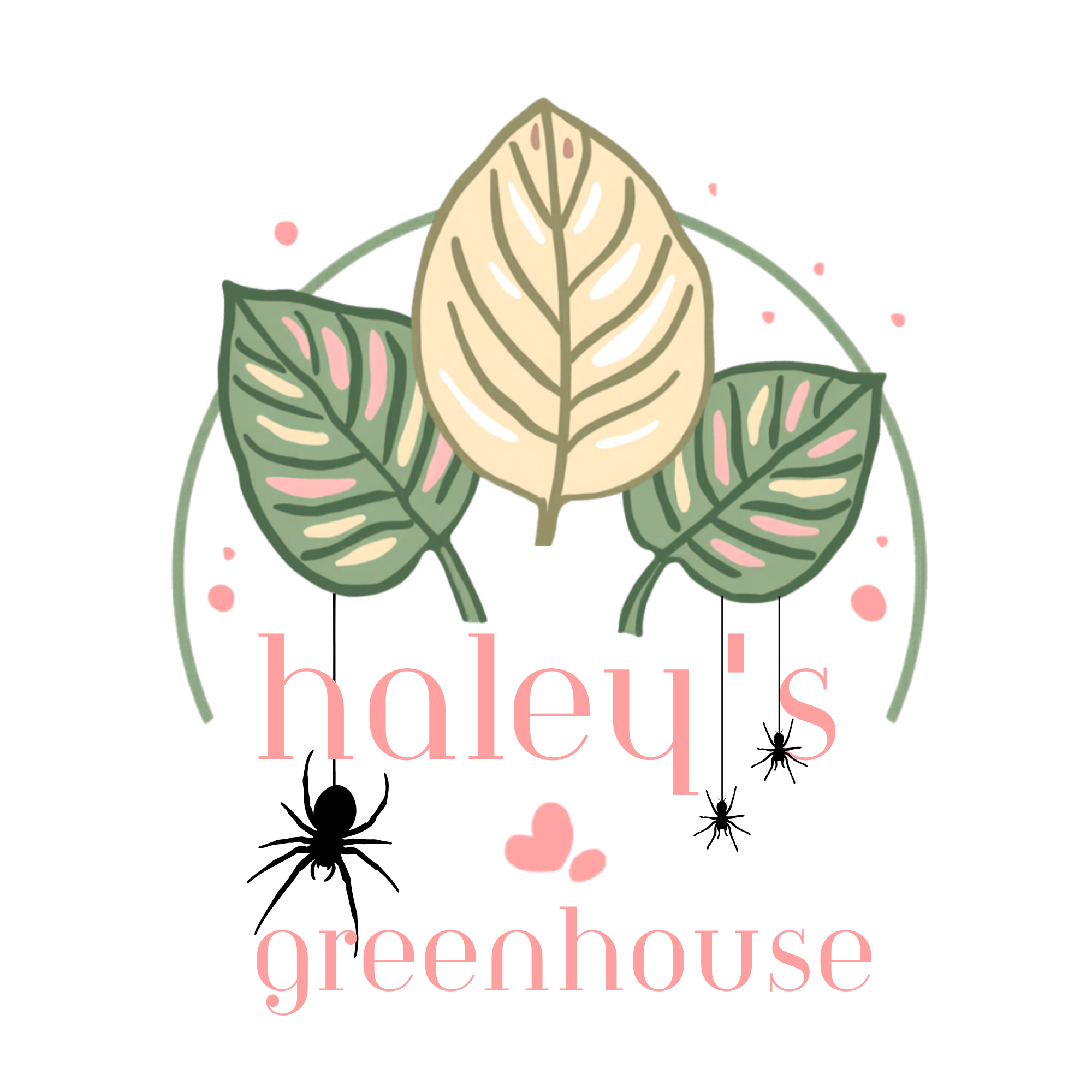 Haley's Greenhouse